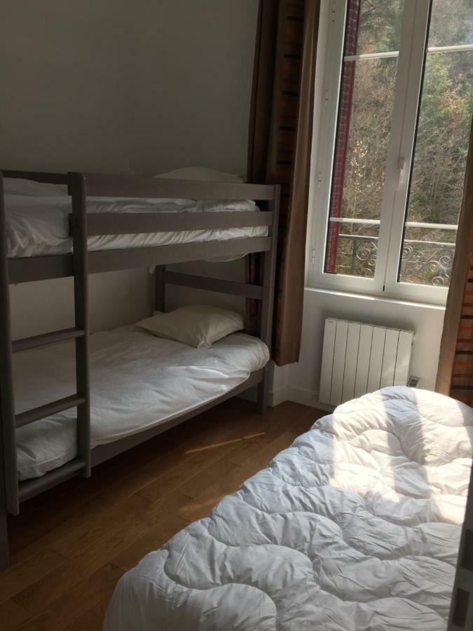 Magnifique Et Lumineux Appartement Au Coeur Du Sancy 圣内克泰尔 外观 照片