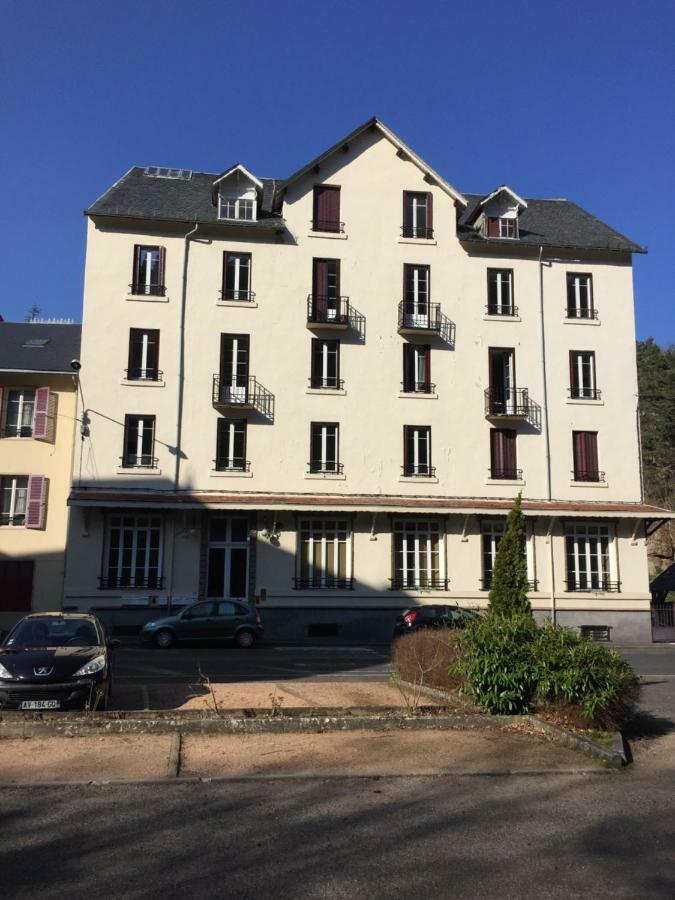 Magnifique Et Lumineux Appartement Au Coeur Du Sancy 圣内克泰尔 外观 照片